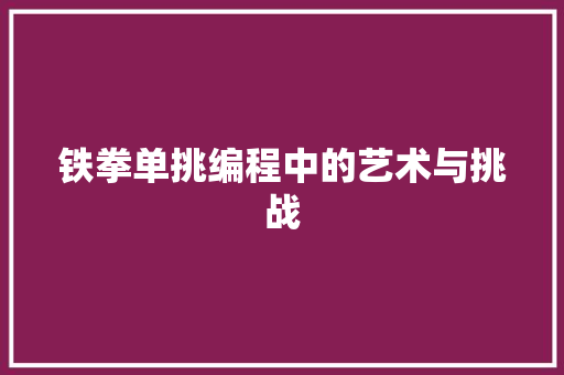 铁拳单挑编程中的艺术与挑战