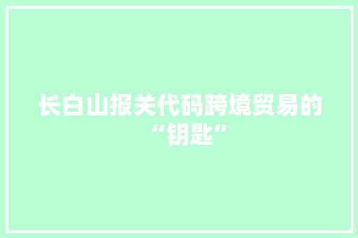 长白山报关代码跨境贸易的“钥匙”