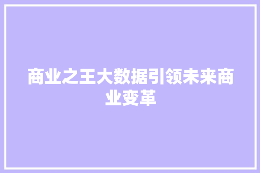 商业之王大数据引领未来商业变革  第1张