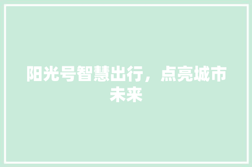 阳光号智慧出行，点亮城市未来