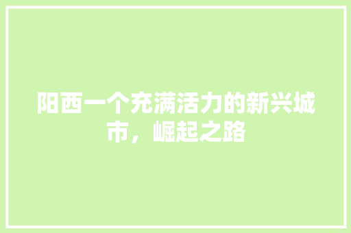 阳西一个充满活力的新兴城市，崛起之路