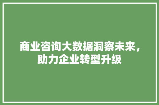 商业咨询大数据洞察未来，助力企业转型升级