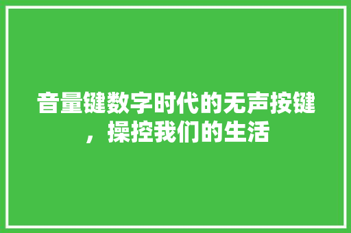 音量键数字时代的无声按键，操控我们的生活