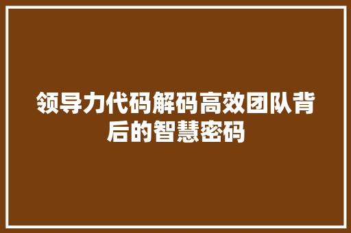 领导力代码解码高效团队背后的智慧密码