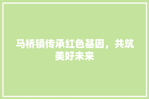马桥镇传承红色基因，共筑美好未来