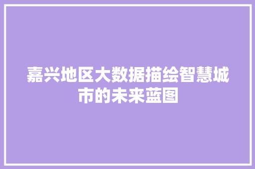 嘉兴地区大数据描绘智慧城市的未来蓝图  第1张