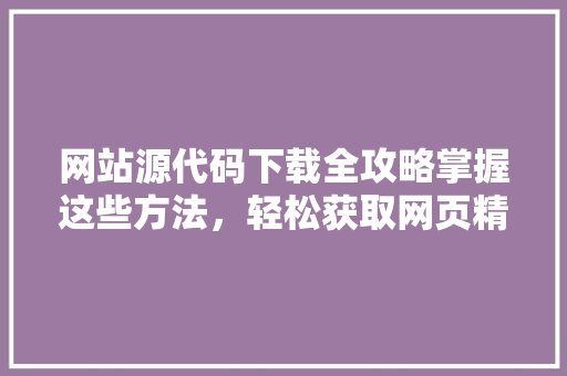 网站源代码下载全攻略掌握这些方法，轻松获取网页精髓