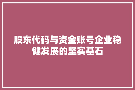 股东代码与资金账号企业稳健发展的坚实基石