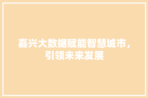 嘉兴大数据赋能智慧城市，引领未来发展  第1张