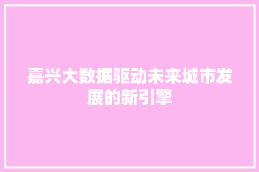 嘉兴大数据驱动未来城市发展的新引擎