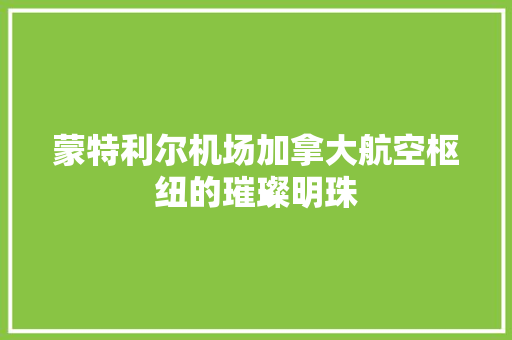 蒙特利尔机场加拿大航空枢纽的璀璨明珠