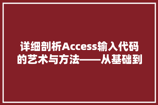 详细剖析Access输入代码的艺术与方法——从基础到方法  第1张