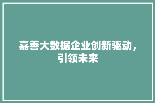 嘉善大数据企业创新驱动，引领未来  第1张