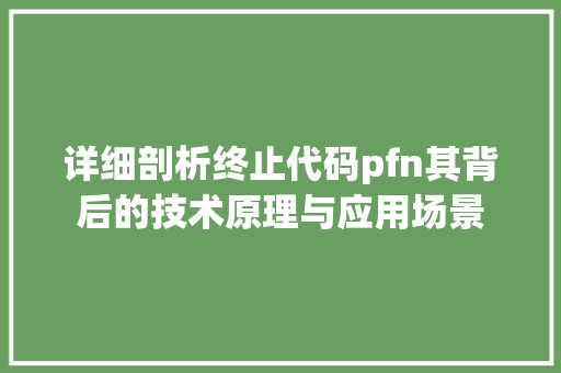 详细剖析终止代码pfn其背后的技术原理与应用场景
