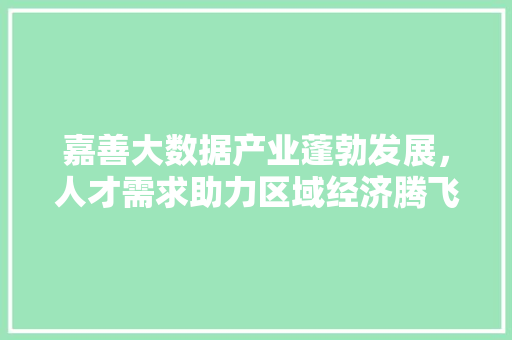 嘉善大数据产业蓬勃发展，人才需求助力区域经济腾飞
