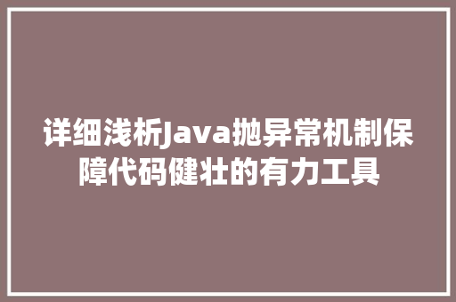详细浅析Java抛异常机制保障代码健壮的有力工具