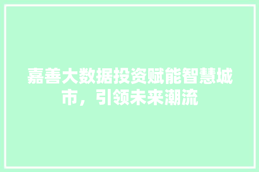 嘉善大数据投资赋能智慧城市，引领未来潮流  第1张