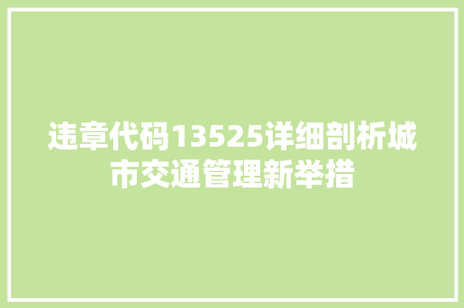 违章代码13525详细剖析城市交通管理新举措