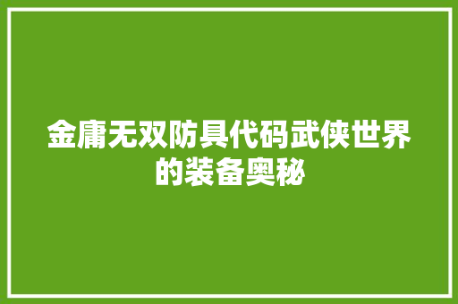 金庸无双防具代码武侠世界的装备奥秘