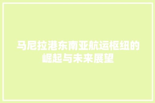 马尼拉港东南亚航运枢纽的崛起与未来展望