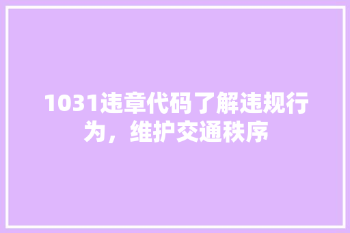 1031违章代码了解违规行为，维护交通秩序  第1张