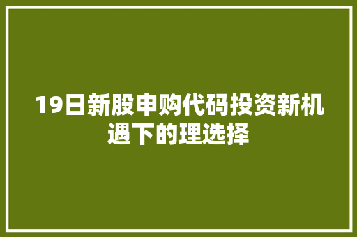 19日新股申购代码投资新机遇下的理选择