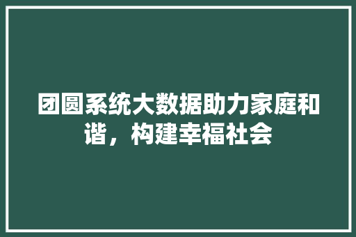 团圆系统大数据助力家庭和谐，构建幸福社会