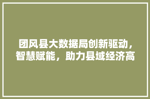团风县大数据局创新驱动，智慧赋能，助力县域经济高质量发展  第1张