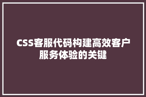 CSS客服代码构建高效客户服务体验的关键