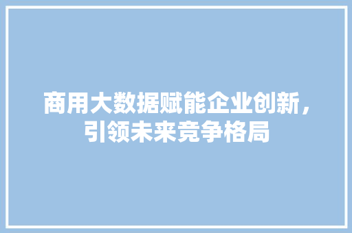 商用大数据赋能企业创新，引领未来竞争格局