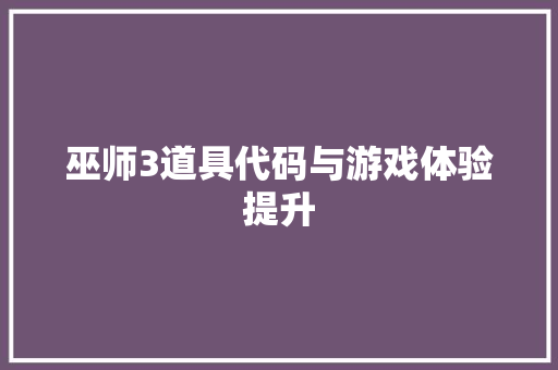 巫师3道具代码与游戏体验提升  第1张