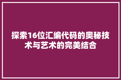 探索16位汇编代码的奥秘技术与艺术的完美结合  第1张