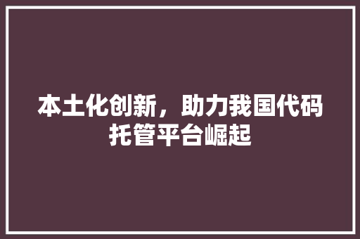 本土化创新，助力我国代码托管平台崛起
