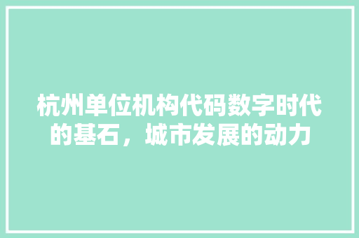 杭州单位机构代码数字时代的基石，城市发展的动力