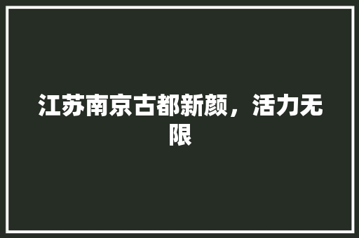 江苏南京古都新颜，活力无限