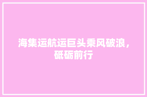 海集运航运巨头乘风破浪，砥砺前行