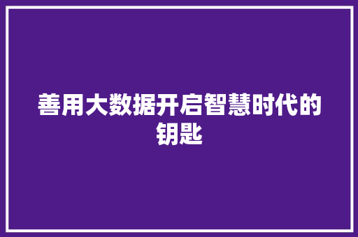 善用大数据开启智慧时代的钥匙  第1张