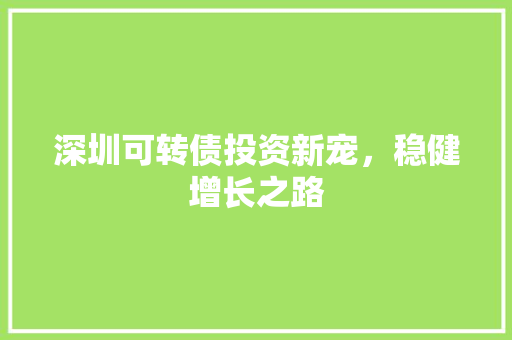 深圳可转债投资新宠，稳健增长之路