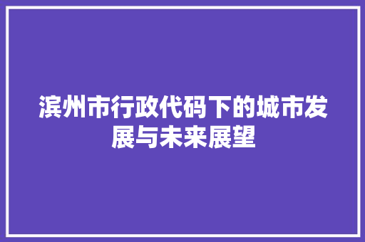 滨州市行政代码下的城市发展与未来展望