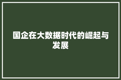 国企在大数据时代的崛起与发展  第1张