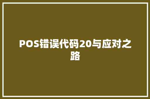POS错误代码20与应对之路