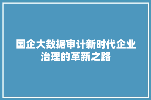 国企大数据审计新时代企业治理的革新之路  第1张