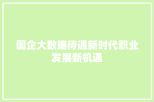 国企大数据待遇新时代职业发展新机遇