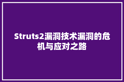 Struts2漏洞技术漏洞的危机与应对之路