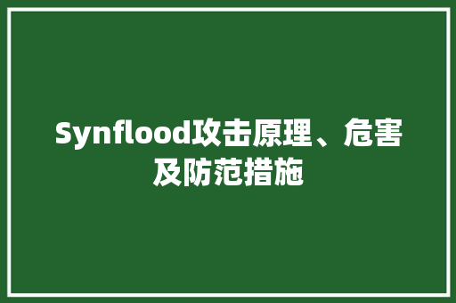 Synflood攻击原理、危害及防范措施