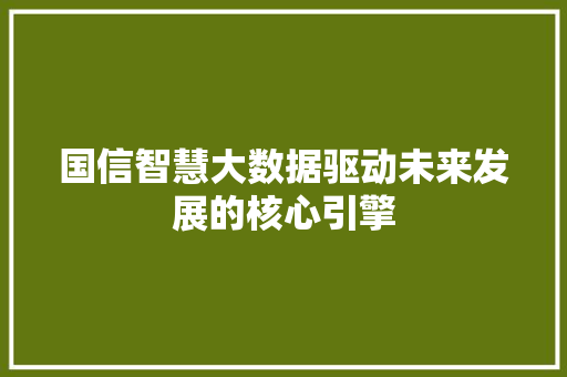 国信智慧大数据驱动未来发展的核心引擎