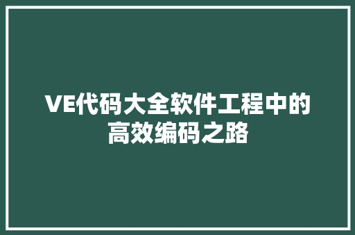 VE代码大全软件工程中的高效编码之路