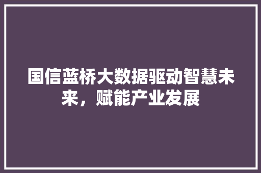 国信蓝桥大数据驱动智慧未来，赋能产业发展