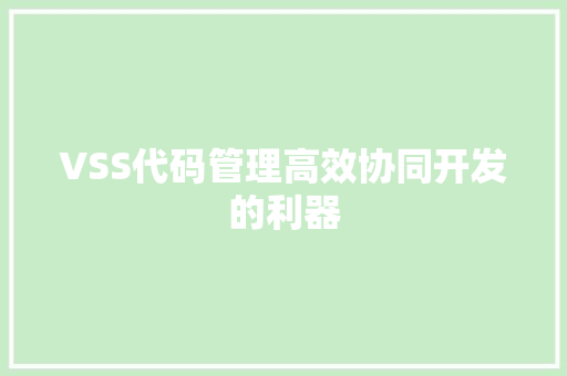 VSS代码管理高效协同开发的利器
