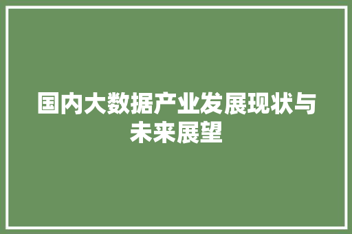 国内大数据产业发展现状与未来展望  第1张